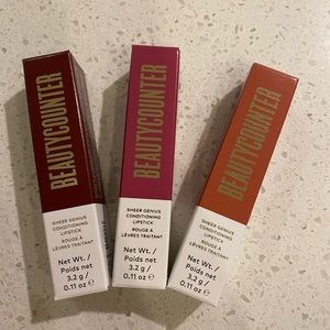 Fall Beautycounter lip stick set